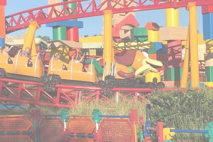 HAPPY NATIONAL ROLLER COASTER DAY